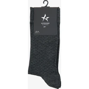 Altınyıldız Classics Pamuklu Desenli Tekli Çorap