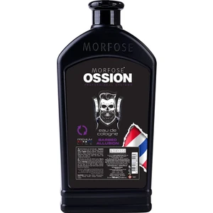 Pr. Brb Losyon 700 ml