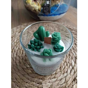 Meltt Candle Dekoratif Çam Kokulu Teraryum Mum