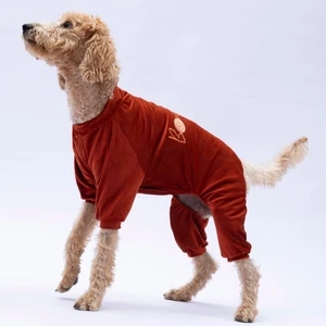 Kiremit Bonjour Kadife Orta-Büyük Irk Köpek Tulumu