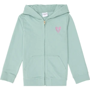 U.S. Polo Assn. Kız Çocuk Su Yeşili Sweatshirt 50296390-VR048