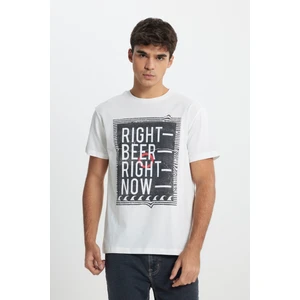 Regular Fit Normal Kesim %100 Pamuk Bisiklet Yaka Tişört
