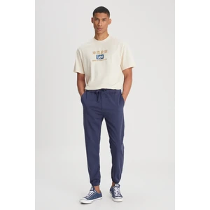 Slim Fit Dar Kesim Normal Bel Dar Paça Lacivert Jogger Pantolon