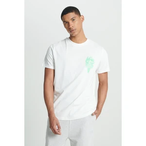 Regular Fit Normal Kesim %100 Pamuk Bisiklet Yaka Açık Yeşil Tişört