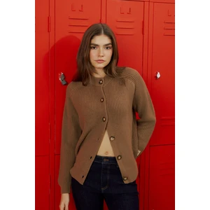 Regular Fit Normal Kesim Düğme Detaylı Camel Triko Kazak