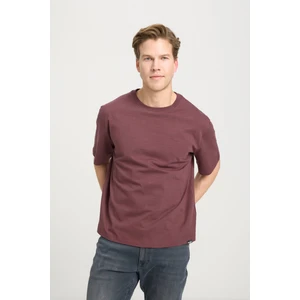 Regular Fit Normal Kesim Bisiklet Yaka %100 Pamuk Kahverengi Tişört