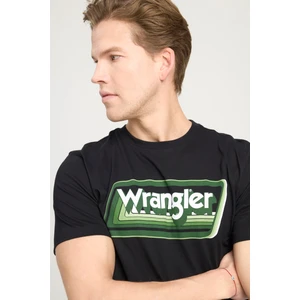 Regular Fit Normal Kesim Bisiklet Yaka %100 Pamuk Siyah Tişört