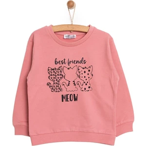 HelloBaby Basic Az Şardonlu Kedi Desenli Sweatshirt Kız Bebek