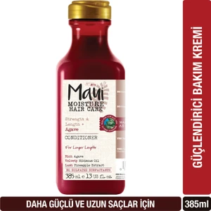 Agave Nectar Saç Kremi 385 Ml