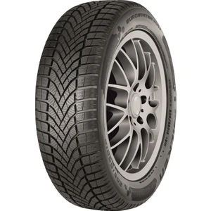 215/60 R17 100V Xl Eurowinter Hs02 Oto Kış Lastiği (Üretim Yılı: 2024)