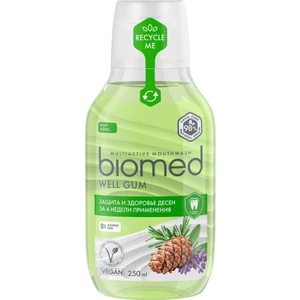 Well Gum Ağız Bakım Suyu Antibakteriyel Etkiyle 250 ml Doğal Anason ve Karanfil Aromalı