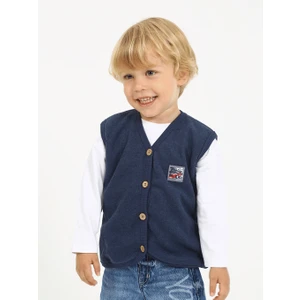 Luggi Baby 1-6 Yaş V Yaka Erkek Bebek Yelek