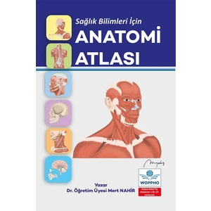 Anatomi Atlası