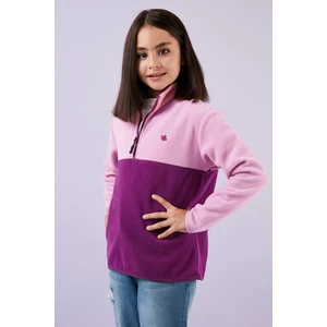 Yumuşak Dokulu Yarım Fermuarlı Renk Bloklu Dik Yaka Polar Unisex Çocuk Polar 5905004
