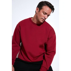 Regular Fit Bisiklet Yaka Pamuklu Içi Tüylü Yumuşak Şardonlu Sweat Erkek Sweat 5905255