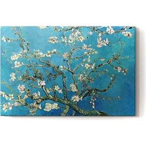 Prime Concept Vincent Van Gogh - Çiçek Açan Badetm Ağacı Tablo 50 X 70 Cm