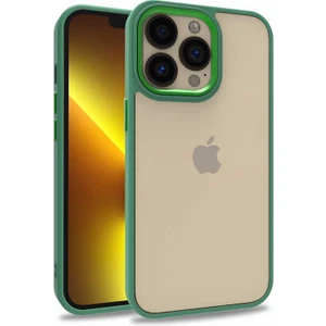 iPhone 13 Pro Kılıf Kamera Çıkıntılı Arkası Şeffaf Köşeleri Parlak Renkli Işlemeli Flora Kapak