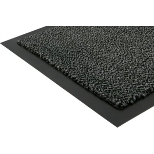 Profesyonel Nem Alıcı Paspas-Kapı Önü Paspas 40*60