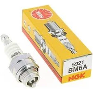 Ngk Buji Stıhl - BM6A