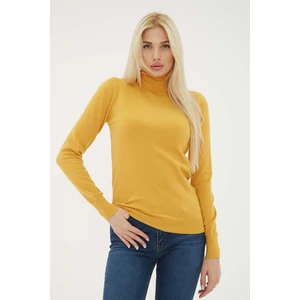 Fashion Friends Standart Fit Balıkçı Yaka Triko Kazak Bayan Kazak 24K0780K1