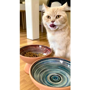 Çift Yönlü Büyük Boy 20 cm (Tekli)Doğal Çömlek Mama-Su Kabı