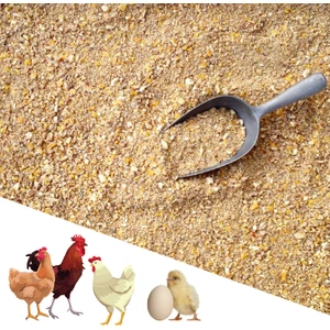 2 KG Pelet Proteinli Özel Tavuk Kaz Ördek ve Kanatlı Hayvan Besi Yumurta Yemi 2 KG
