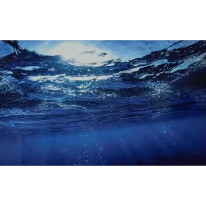 Canlı Petshop Arka Fon Mavi Su 50 cm Uzunluk Yükseklik 50 cm No 8008