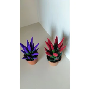 My Çiçekçim Kadife Kaplama Sukulent Renkli Sukulent Kaktüs İkili Kırmızı ve Mor 5.5 cm Saksıda Ev,ofis,salon Bitkisi