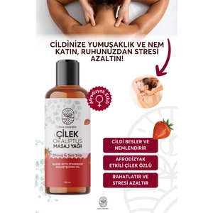 Ras Dashen Premium Kalite  Afrodizyak Etkili ( Çilek - Okaliptus ) Masaj Yağı 250 ml