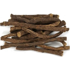 Derya Eren Meyan Kökü Dalı 100G