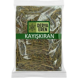 Derya Eren Kayışkıran Otu Kayış Kıran 100 gr