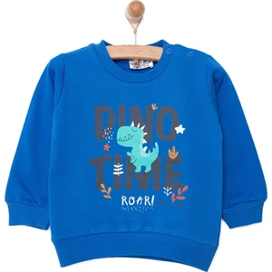 HelloBaby Basic Erkek Az Şardonlu   Dino Baskılı Sweatshirt Erkek Bebek