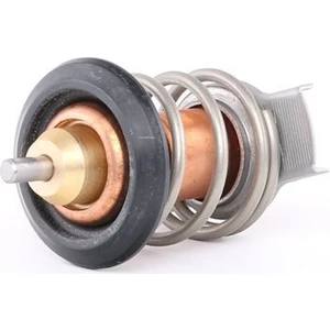 Fiat Doblo Termostat (2009-2022) 1.6 JTD 55241963