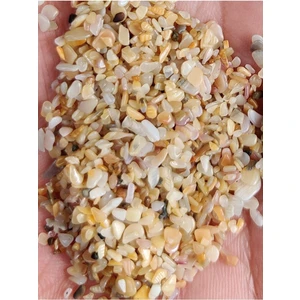 Akvaryum Kumu Tropikal Midye Kırığı Kum Orta Boy 5 kg