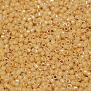 Japon Cam Boncuk Treasure 11/0 TT-123D