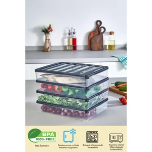 4 Adet 2500 ml Buzdolabı Dondurucu Organizer ve Saklama Kabı
