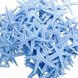 Polyester Deniz Yıldızı Minik Boy  1.5  cm  -3  cm  (100 Adet)  Mavi