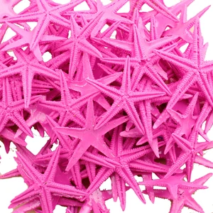 Polyester Deniz Yıldızı Minik Boy  1.5  cm  -3  cm  (100 Adet)  Pembe