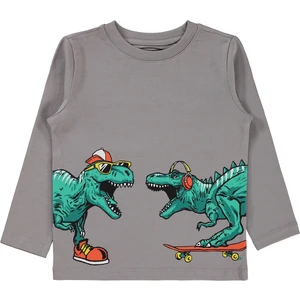 Civil Boys Erkek Çocuk Sweatshirt 2-5 Yaş  Gri