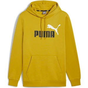 Ess+ 2 Col Big Logo Hoodie Erkek Sweatshirt