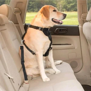 Evcil Hayvan Araç Emniyet Kemeri Kedi Köpek Araba Oto Tasması Oto Aksesuarları