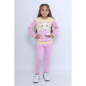 Kız Çocuk 3 Iplik Eşofman Takımı Kedi Baskılı E4