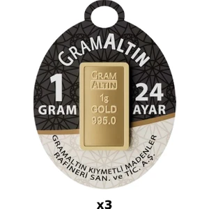24 Ayar 3 Gram Külçe Altın - Ahlatcı NadirGold AgaKulche