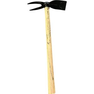 Saplı Çatal Çapa