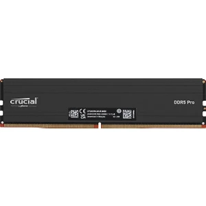 Pro 24GB (1X24GB) Ddr5 5600MHZ CP24G56C46U5