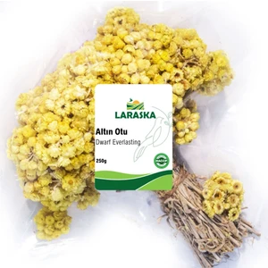 Altın Otu Demet 250G - Dwarf Everlasting