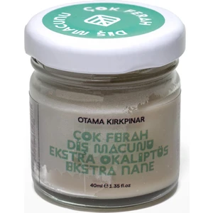 OTAMA KIRKPINAR Ektra Okaliptüs & Extra Naneli Doğal Diş Macunu - Çok Ferah 40 ml