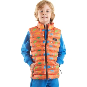 Erkek Çocuk Dinozor Baskılı Trend Şişme Yelek Ak216263