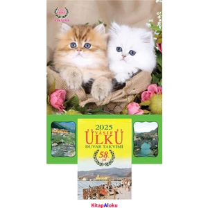 Ülkü Takvimcilik 2025 Vasıf Ülkü Duvar Takvimi ve Iki Kedi Görselli Karton (Kod:09)