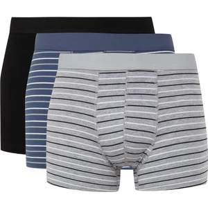 Erkek Çizgili 3'lü Boxer E0029AX24WN